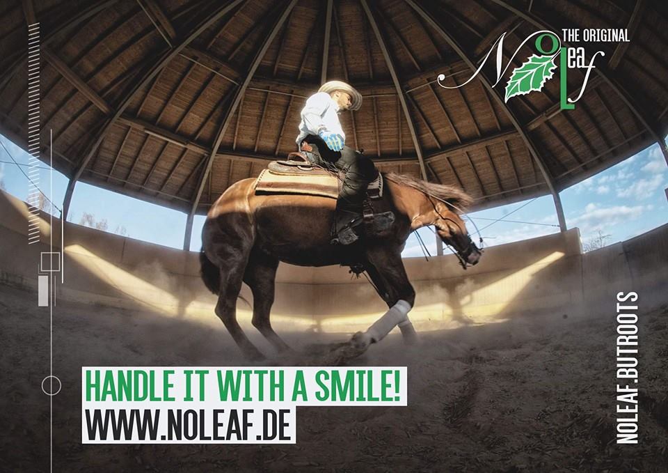 Handle it with a smile NoLeaf 2016 2