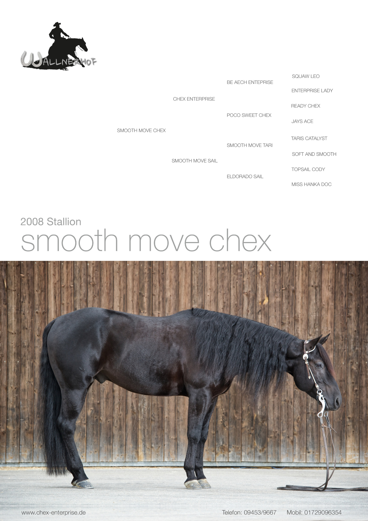 SmoothMoveChex Deckplakat