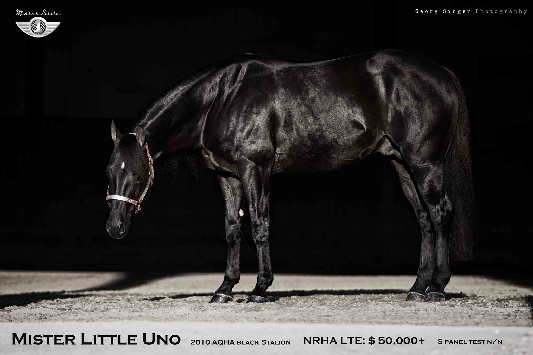 Mister little uno3